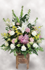 枕花3(1基)