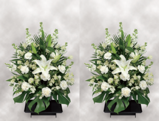 花枕2(1対)